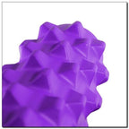 Fitness HMS PURPLE FS107 roller Accessories/Training equipment Your Sports Performance