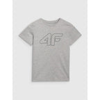 Boy's regular printed T-shirt 4F 4FJRMM00TTSHM3255-25M 4f