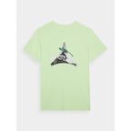 Men's regular printed T-shirt 4F 4FRAW24TTSHM2301-41S *Kategoria tymczasowa Your Sports Performance