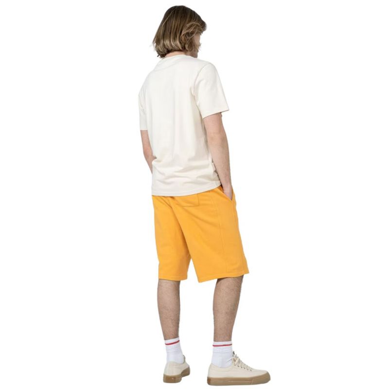 Shorts Outhorn M ACOTHSS23TSHOM132 74S Clothing/Training Your Sports Performance
