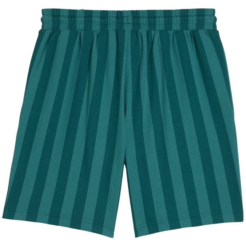 Puma Class 8 men's shorts green 692355 41