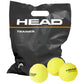 Head Trainer 578120 tennis ball Accessories/Balls/Tennis Your Sports Performance