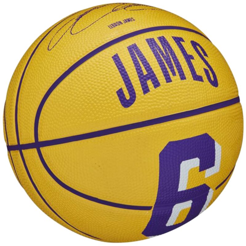 Ball Wilson NBA Player Icon Stephen Curry Mini Ball WZ4007401XB Accessories/Balls/Basketball Your Sports Performance