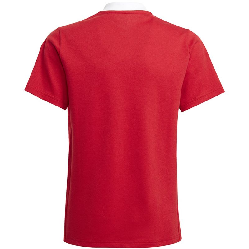 T-shirt adidas Tiro 21 Polo Jr. GM7346 Clothing/Football Adidas