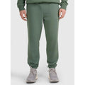 Men's sweatpants 4F 4FWAW25TTROM1272-41S 4f
