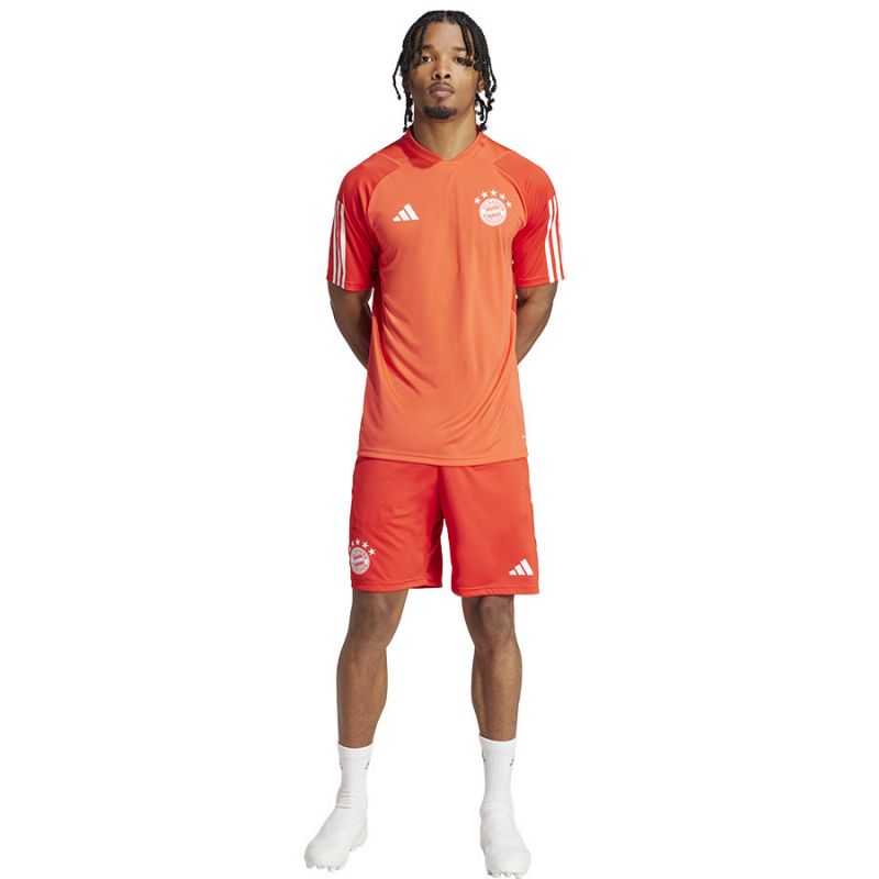 Adidas FC Bayern Training JSY M T-shirt IQ0608 Clothing/Football Adidas