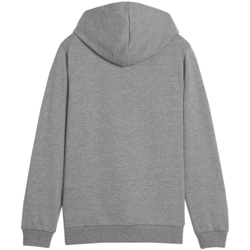 Puma Team Goal Casuals Hoddy Jr sweatshirt 658619 33 Clothing/Training Puma