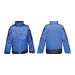 Regatta Cntrst Shell Jacket M TRW504 56E Clothing/Outdoor/Adler Your Sports Performance