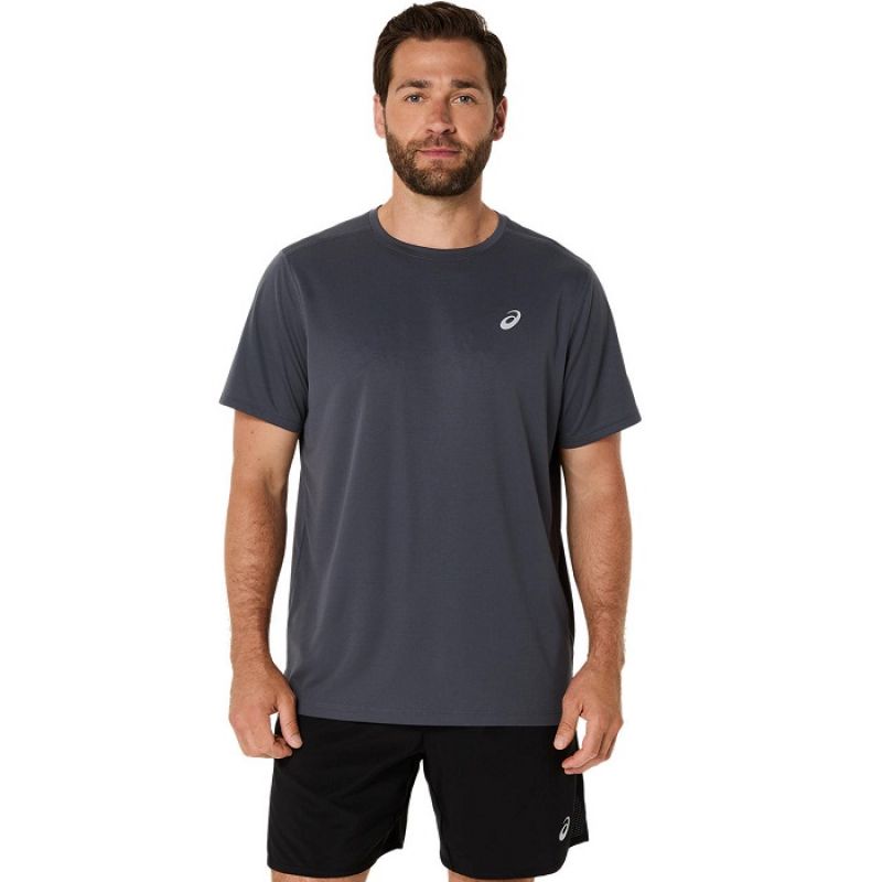 Asics Core SS Top M 2011D221020 Clothing/Training Asics