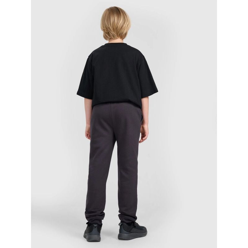 Boys' jogger sweatpants 4F 4FJRAW25TTROM1663-22S *Kategoria tymczasowa Your Sports Performance