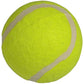 Enero tennis ball 3pcs 334735 Accessories/Balls/Other balls Your Sports Performance