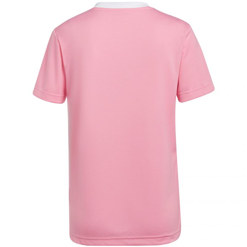 Adidas Entrada 22 Jersey W HC5075 Clothing/Football Adidas