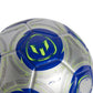adidas Messi Mini Ball JE6456 Accessories/Balls/Football Adidas