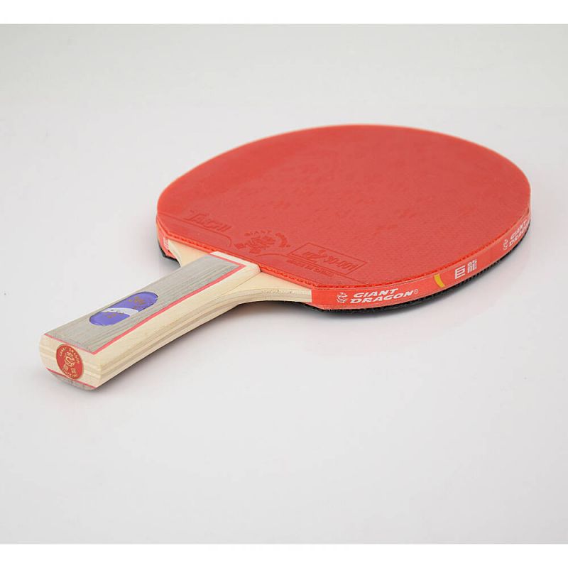 Giant Dragon 3★ N8031 Table Tennis Racket Accessories/Rackets and accessories Your Sports Performance
