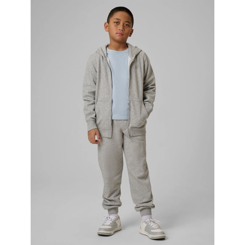 Boy's regular hooded sweatshirt 4F 4FJRMM00TSWSM2747-25M