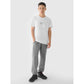 Men's regular printed T-shirt 4F 4FRAW24TTSHM2299-10S *Kategoria tymczasowa Your Sports Performance