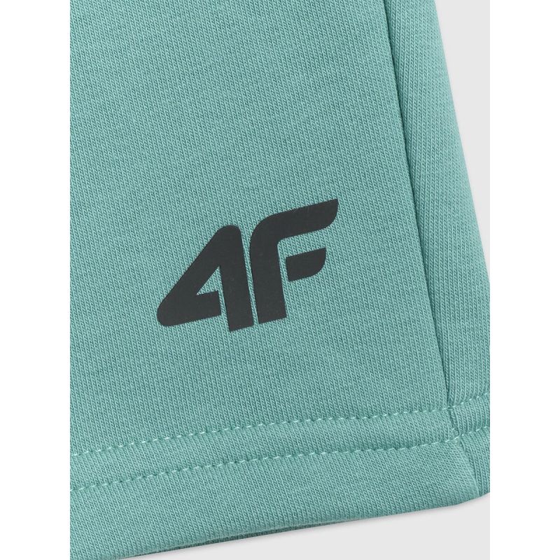Men's sweatpants 4F 4FRSS26TSHOM0970-47S 4f