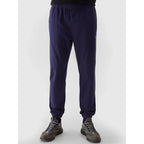 Pants 4F M 4FWSS24TTROM646-31S Clothing/Lifestyle/Trousers, shorts/4F 4F