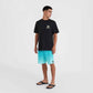 O'Neill Beach Graphic T-Shirt M 92800613988 ONeill