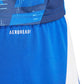 Adidas Tiro 24 M shorts IR9378 Clothing/Football Adidas