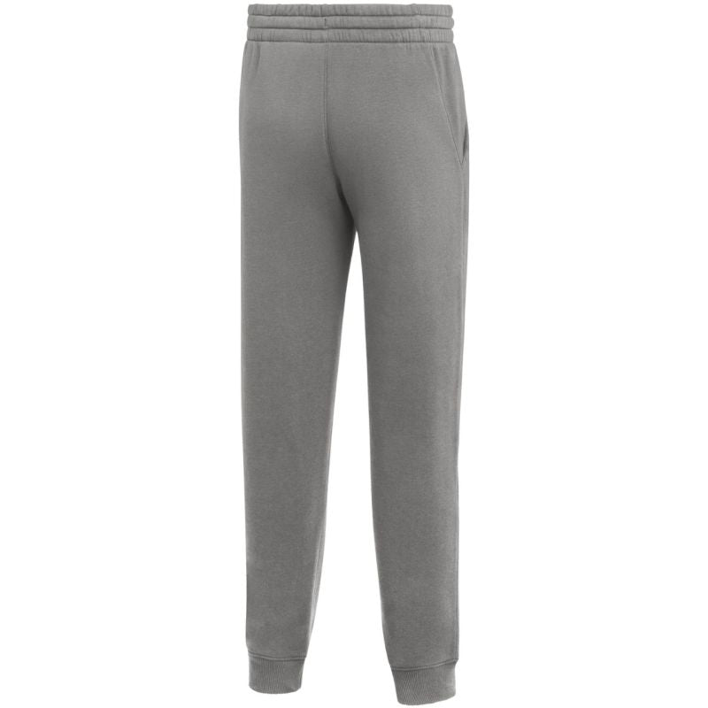 Nike Park 26 Fleece Kids Pants Gray IB1252 063