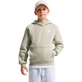 Nike Sportswear Club Fleece Kids' Sweatshirt Light Green FD3000 304