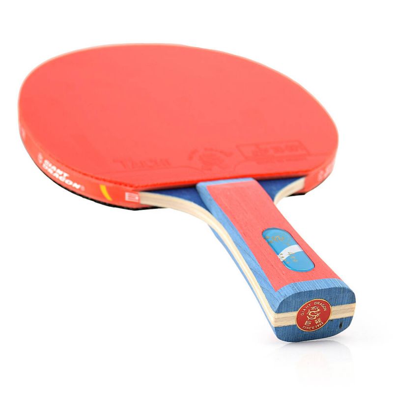 Giant Dragon 4★ N804 Table Tennis Racket Accessories/Rackets and accessories Your Sports Performance