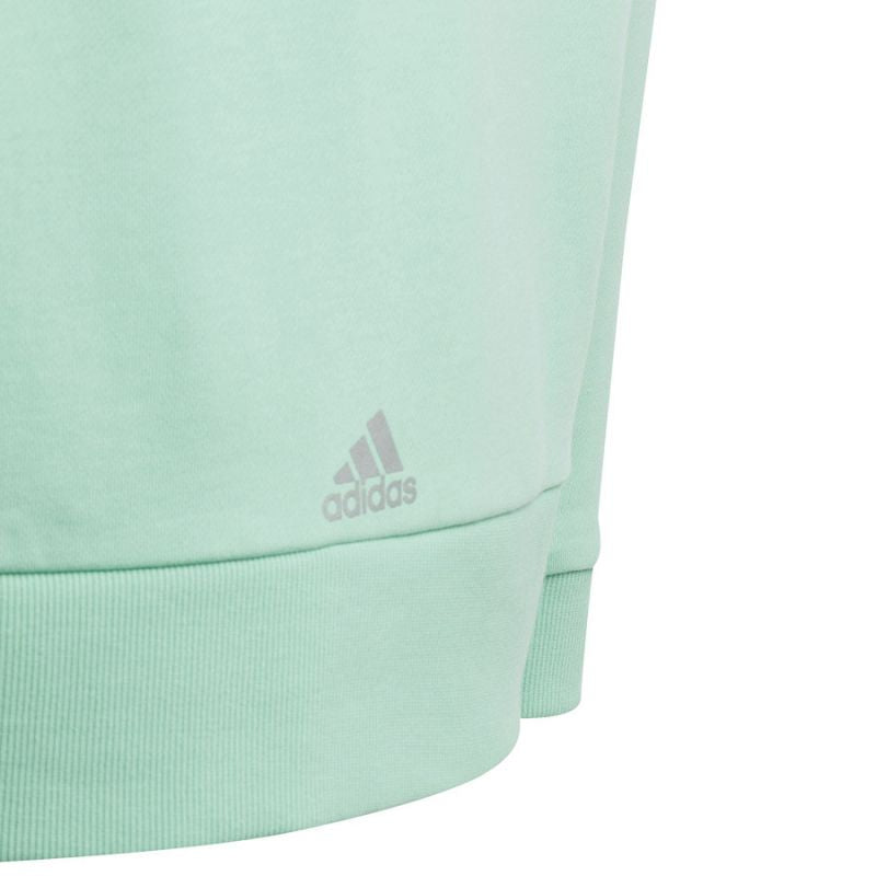 Adidas D Hoody Jr HR5825 sweatshirt Clothing/Lifestyle Adidas