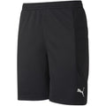 Puma Goalkeeper Shorts M 657038 01 Puma