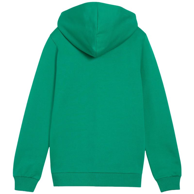 Puma teamGoal Casuals Hooded Kids' Sweatshirt Green 658596 05 In preparation Your Sports Performance