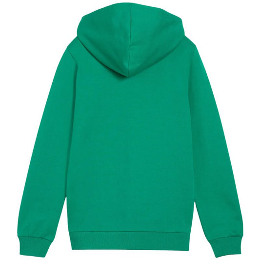 Puma teamGoal Casuals Hooded Kids' Sweatshirt Green 658596 05 In preparation Your Sports Performance