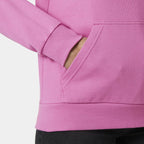 Helly Hansen Core Graphic Hoodie W 54239 089 Clothing/Outdoor/Helly Hansen Your Sports Performance