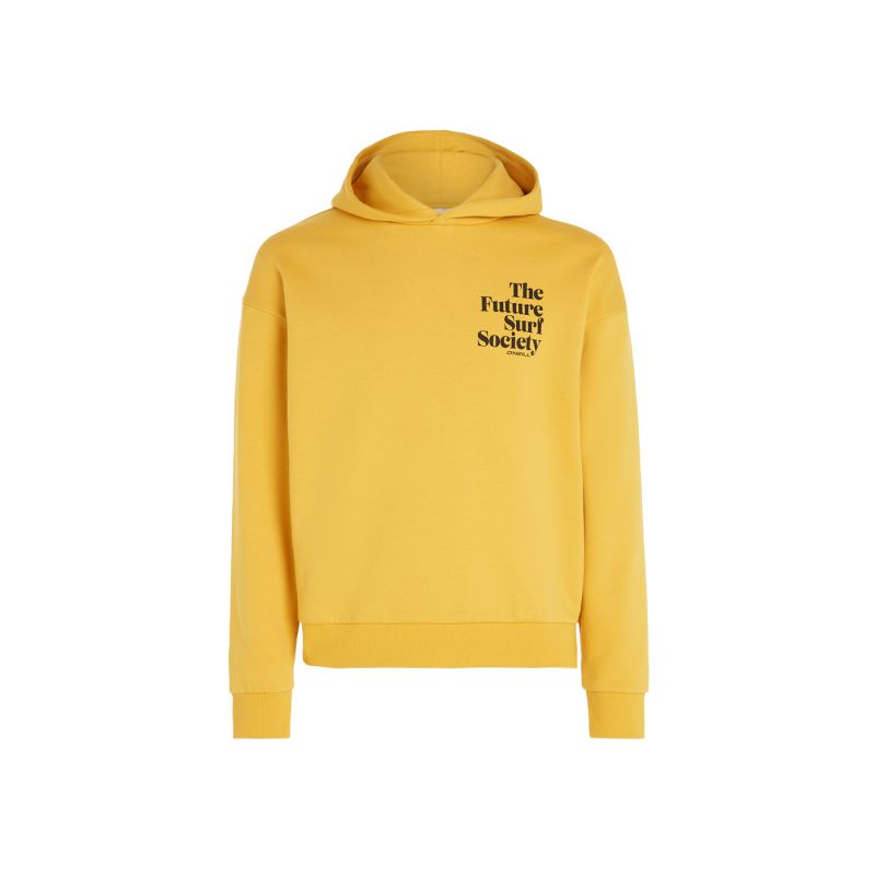 O'Neill Future Surf Society Hoodie W 92800613435 Clothing/Lifestyle/4F Your Sports Performance