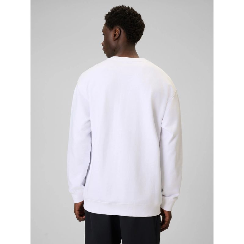Men's sweatshirt without zipper and hood 4F 4FRAW25TSWSM2493-10S 4f