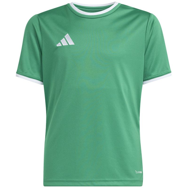 adidas Entrada 26 Jersey green JZ2528 kids' t-shirt To be categorized Your Sports Performance