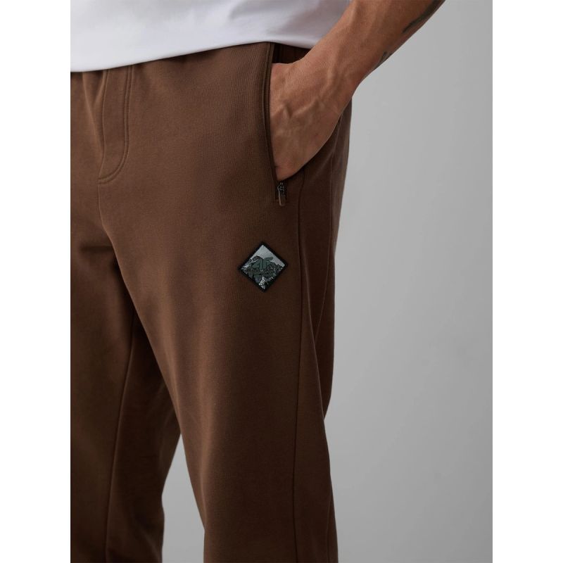 Men's jogger sweatpants 4F 4FRAW26TTROM2092-81S