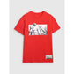 Men's regular t-shirt with volleyball print 4F 4FRAW25TTSHM3319-62S 4f