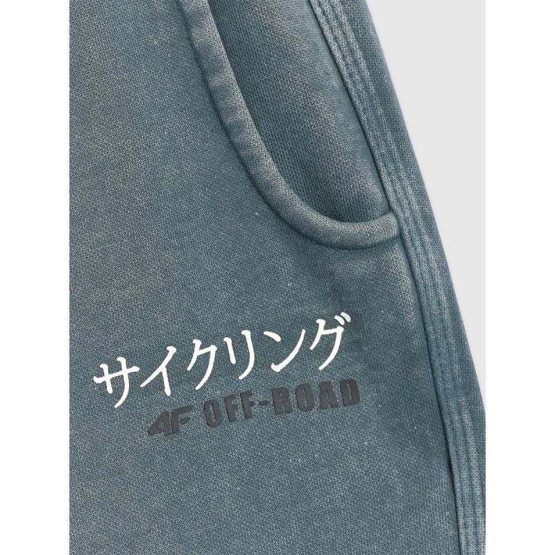 Boys' jogger sweatpants 4F 4FJRAW25TTROM1528-46S 4f