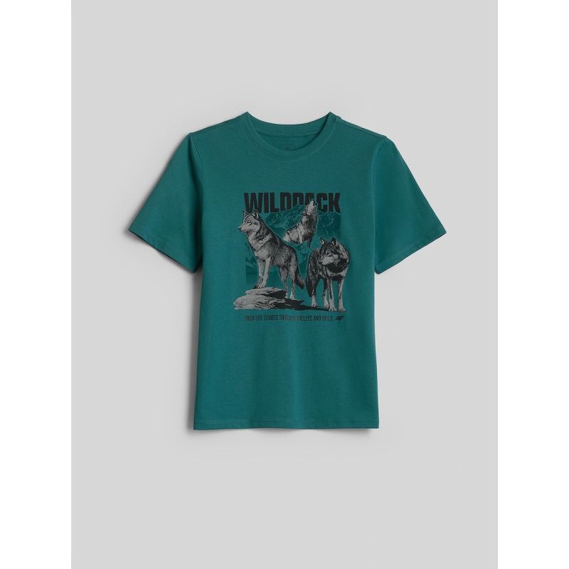Boy's regular printed T-shirt 4F 4FJKAW26TTSHM4455-46S