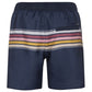 Protest PRTKALFORD beach shorts (P2710821/906) In preparation Your Sports Performance