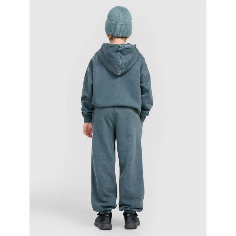 Boys' jogger sweatpants 4F 4FJRAW25TTROM1528-46S 4f