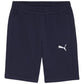 Puma teamGOAL Casuals M shorts 658608 06 Clothing/Training Puma