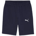 Puma teamGOAL Casuals M shorts 658608 06 Clothing/Training Puma
