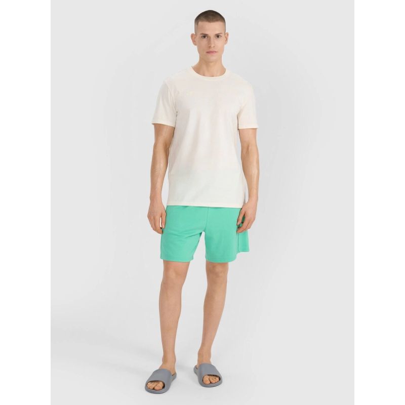 Men's t-shirt with print 4F 4FRSS25TTSHM2687-11S *Kategoria tymczasowa Your Sports Performance