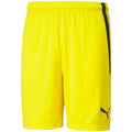 Puma team shortsLIGA M 704924 07 Clothing/Football Puma