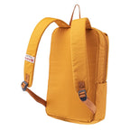 Iguana Fonso backpack 92800498703 Accessories/Plecaki/Iguana Your Sports Performance