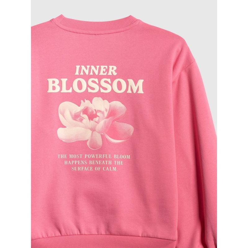 Women's loose sweatshirt without hood 4F 4FRSS26TSWSF2832-54S 4f