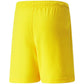 Puma teamRise Short Jr 704943 07 Clothing/Training Puma