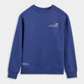Boy's sweatshirt without zipper and hood 4F 4FJRAW25TSWSM2413-31S 4f