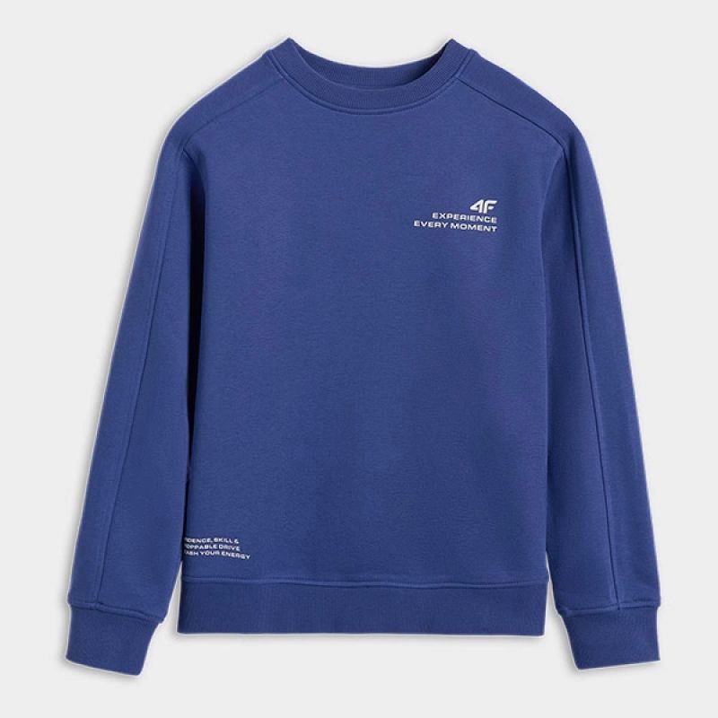 Boy's sweatshirt without zipper and hood 4F 4FJRAW25TSWSM2413-31S 4f